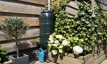 Garden water butts get a long overdue design makeover